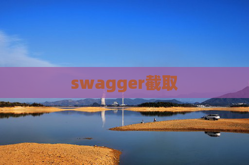 swagger截取